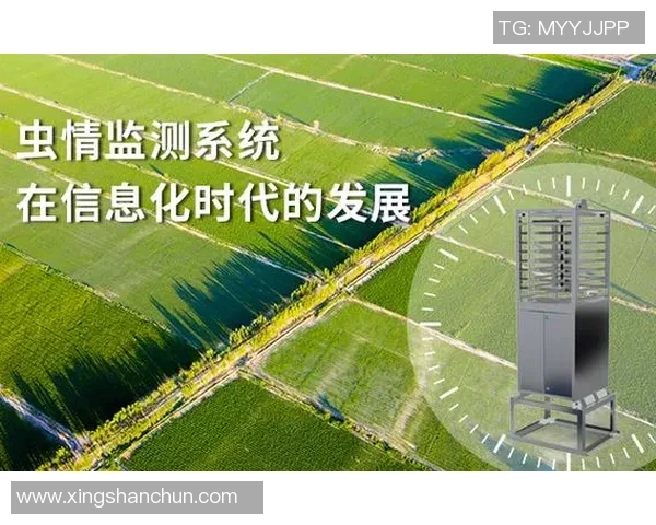 竞技体育的核心价值探析与时代发展对其作用的深远影响